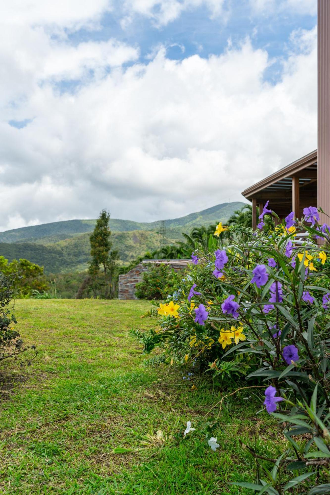 Calypso Bay Villa Bouillante Buitenkant foto