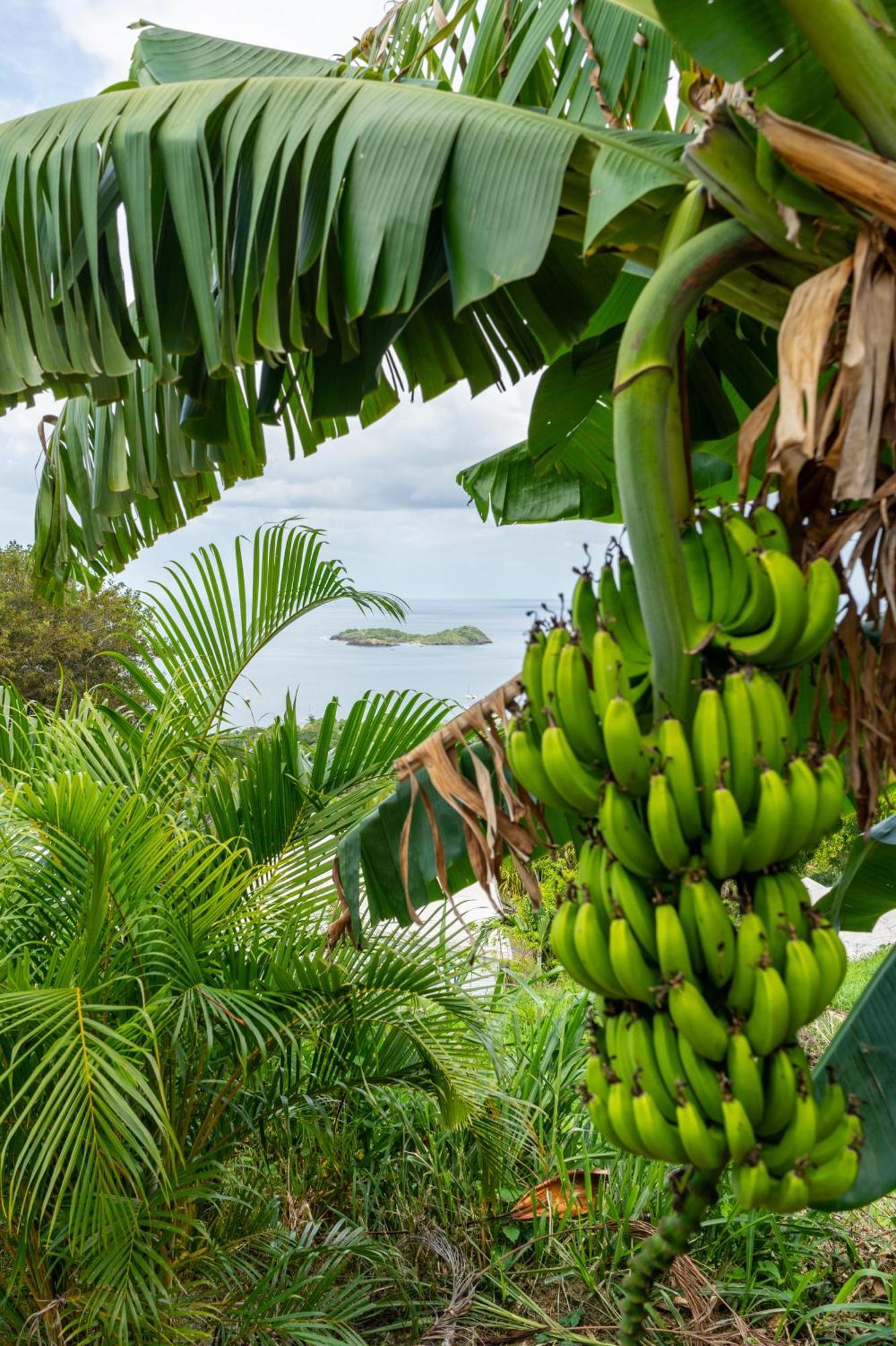 Calypso Bay Villa Bouillante Buitenkant foto
